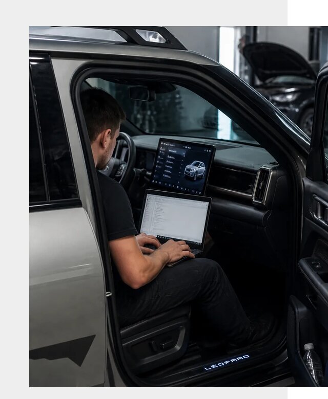 Русификация BYD Leopard 3 в Саяногорске по цене от 20384 р. | ФастМобиль-Снг
